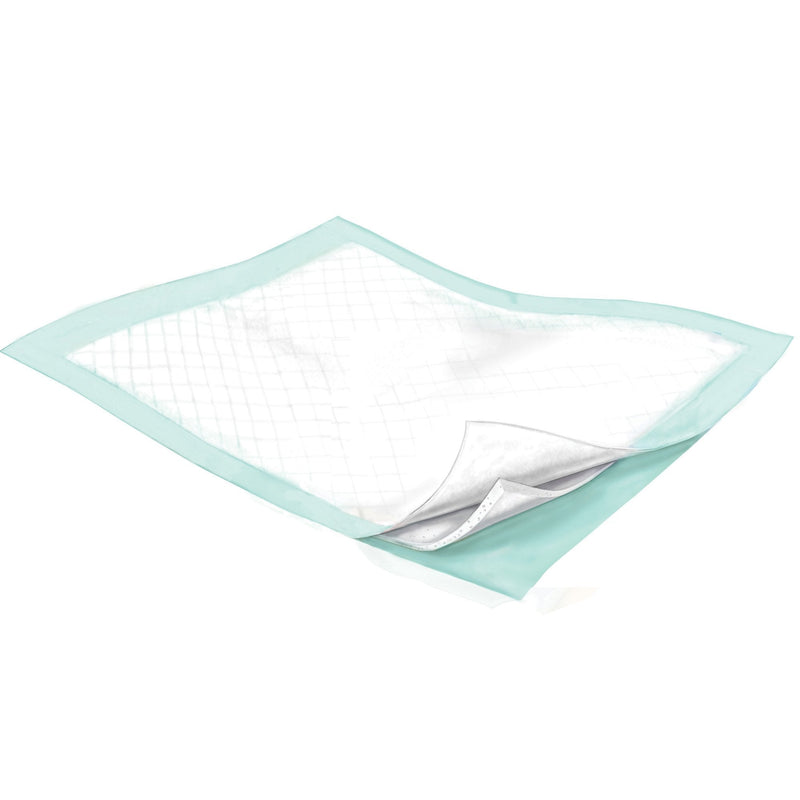 Clear plastic sheet with green border on a white background