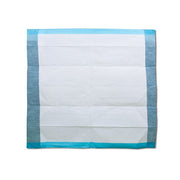 White quilt with blue border on a white background