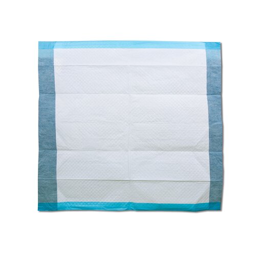 White quilt with blue border on a white background
