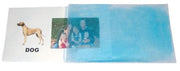 Two educational flashcards, one with a dog illustration and text, the other with a family photo.